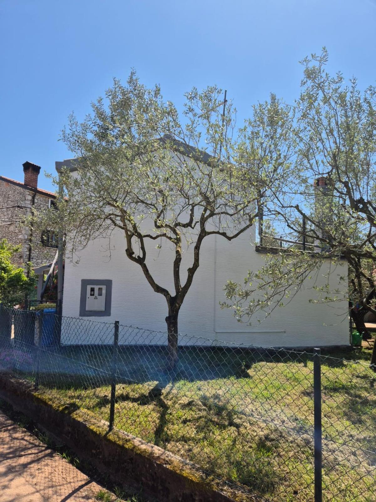 Ferienwohnung Kuca Za Odmor Petra Cepljani Exterior foto