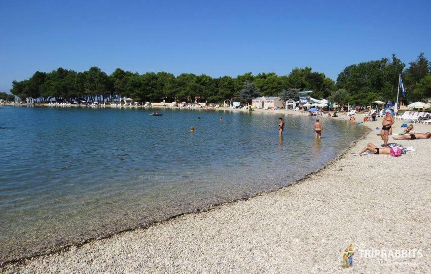 Ferienwohnung Kuca Za Odmor Petra Cepljani Exterior foto